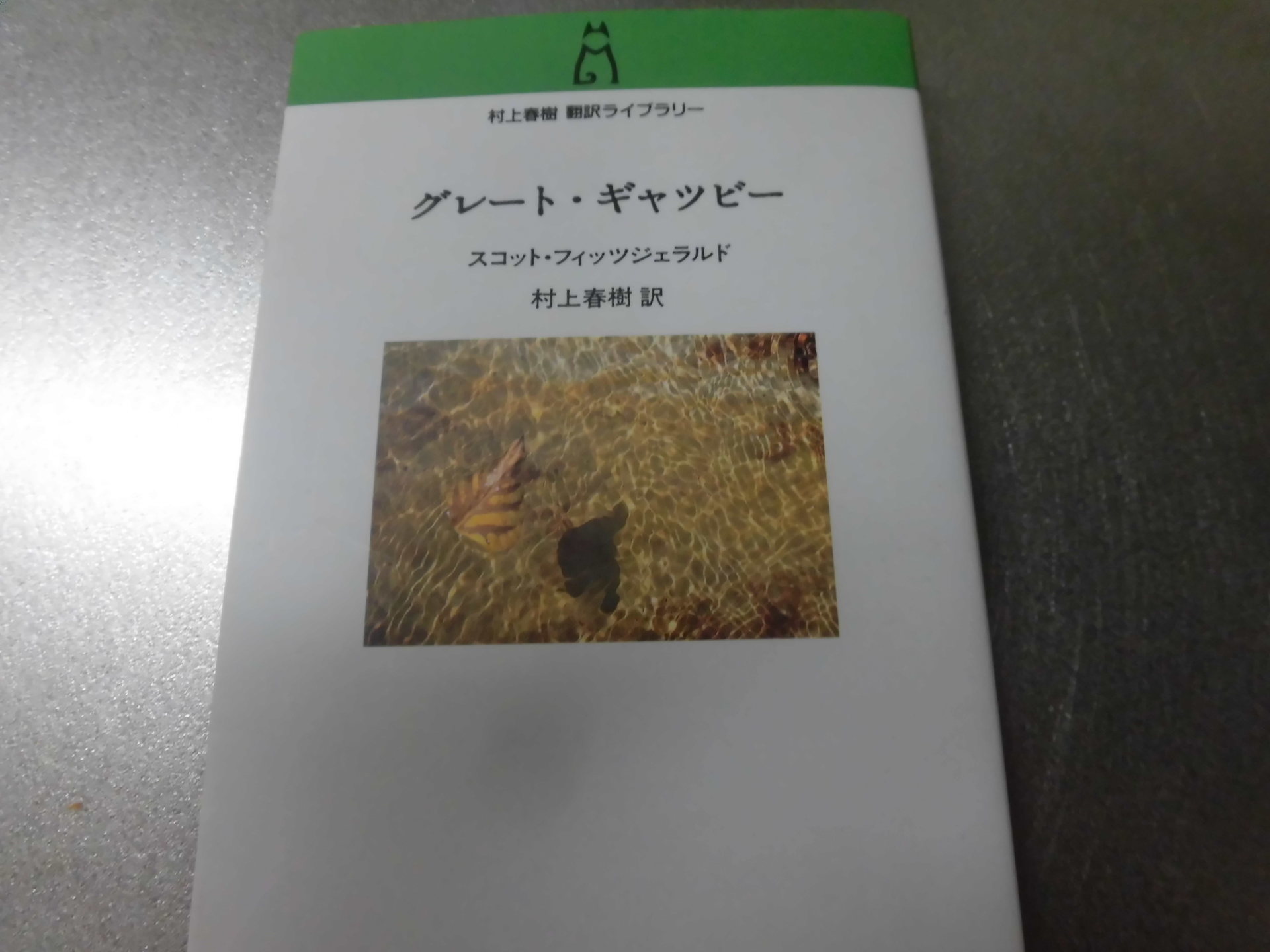 小説 りょうままの気になる本